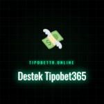 Destek Tipobet365 ekibiyle iletişim kuran bir kullanıcı.